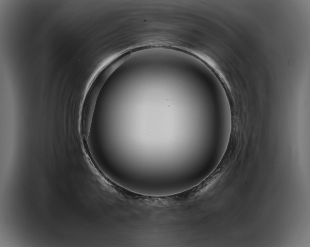 X0000087750815200705071112