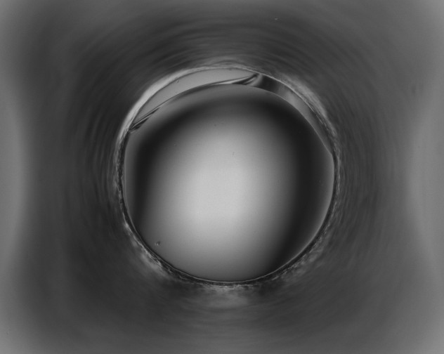 X0000087750816200705071112
