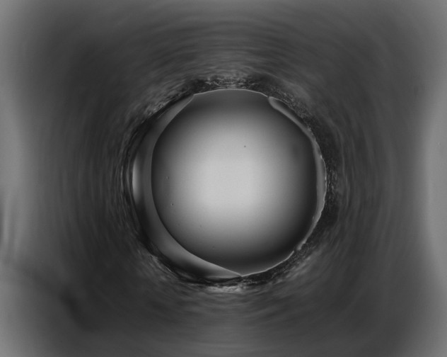 X0000087750818200705071111
