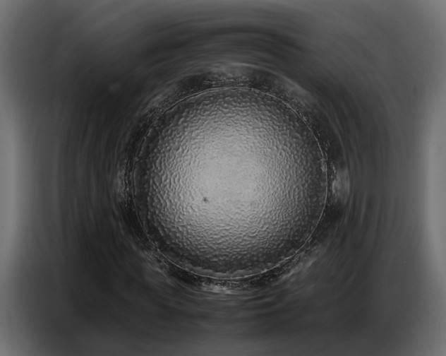 X0000087750819200705071111