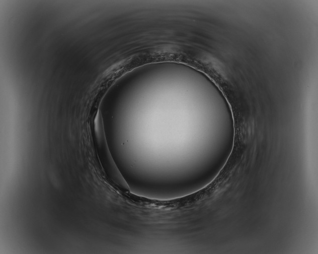 X0000087750821200705071111