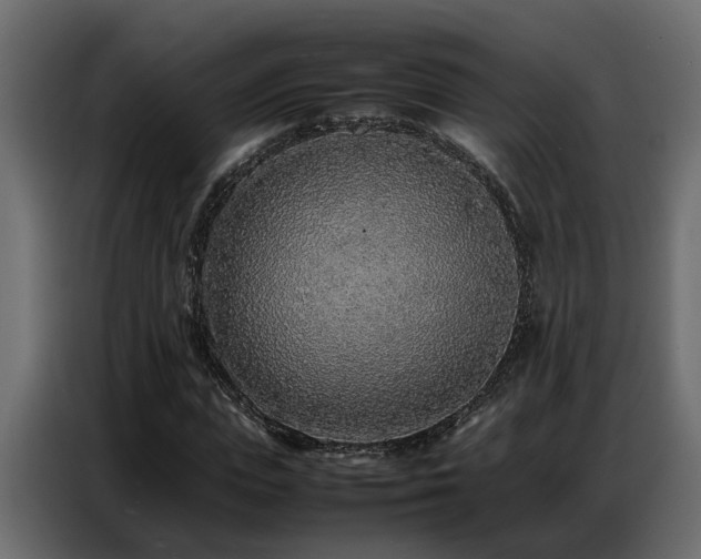X0000087750823200705071111