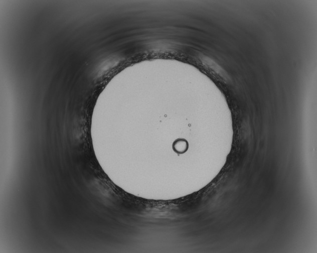 X0000087750824200705071111