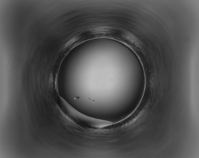 X0000087750825200705071111