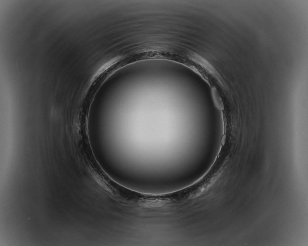 X0000087750826200705071111
