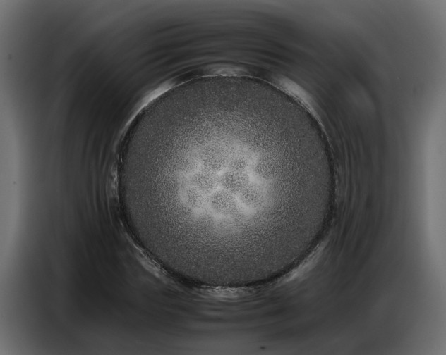 X0000087750827200705071111