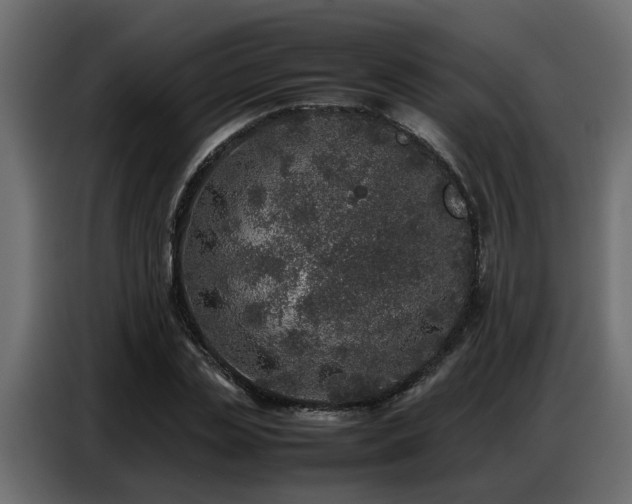 X0000087750829200705071111