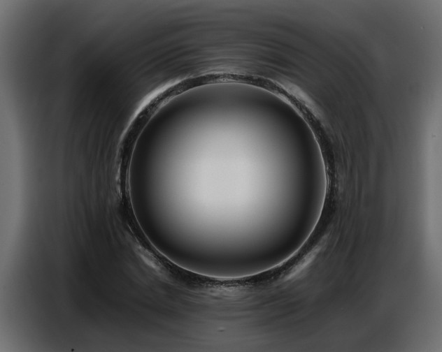 X0000087750830200705071111