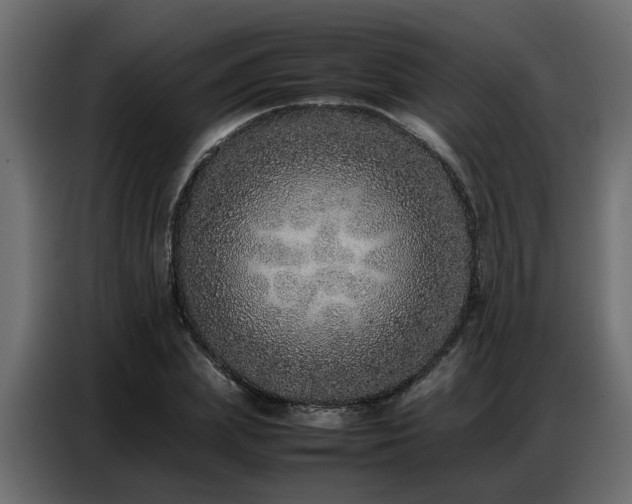 X0000087750831200705071111
