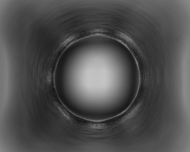X0000087750833200705071111