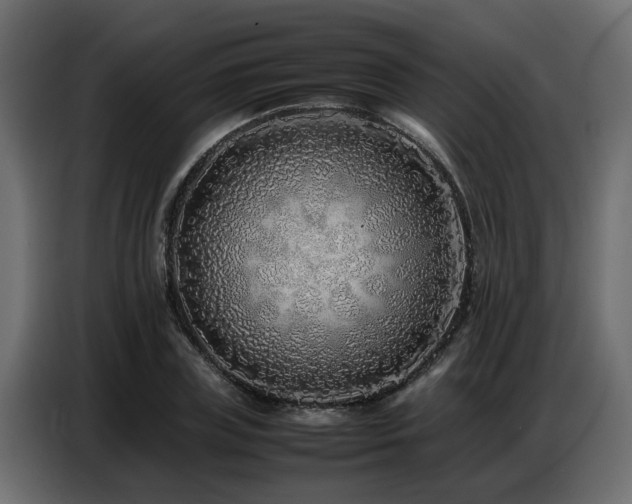 X0000087750835200705071111
