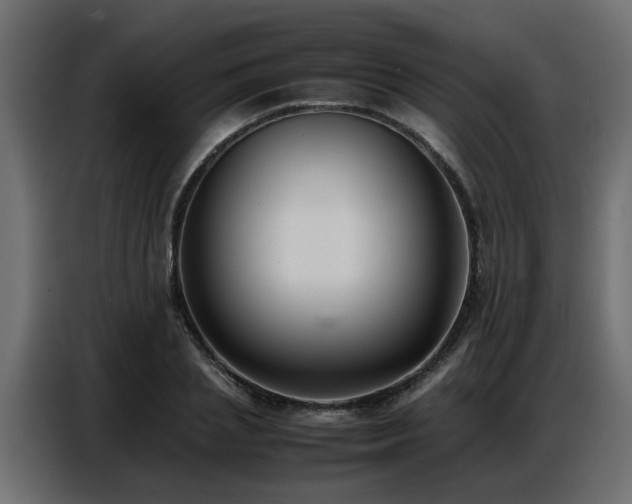 X0000087750837200705071111