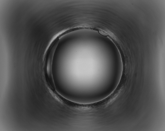 X0000087750838200705071111