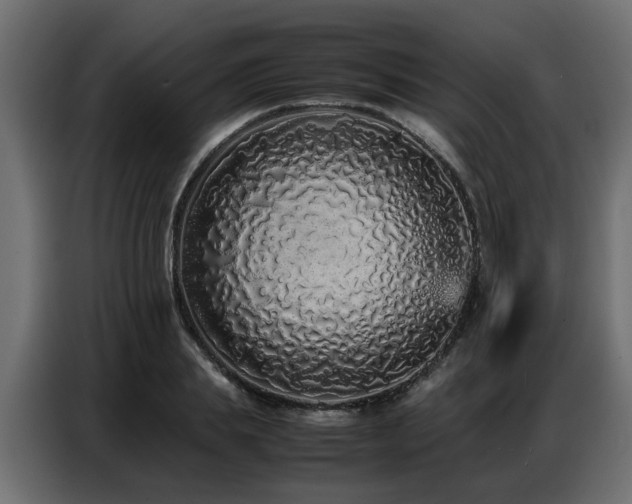 X0000087750839200705071111
