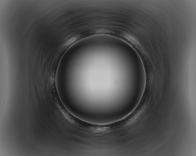 X0000087750841200705071111