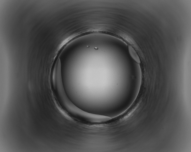 X0000087750842200705071111