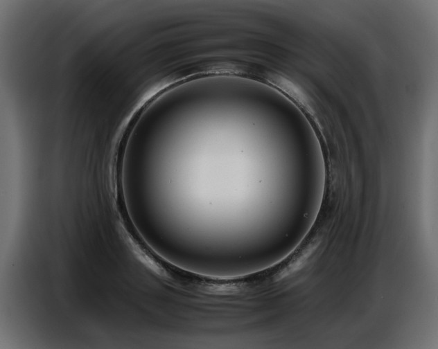 X0000087750843200705071111