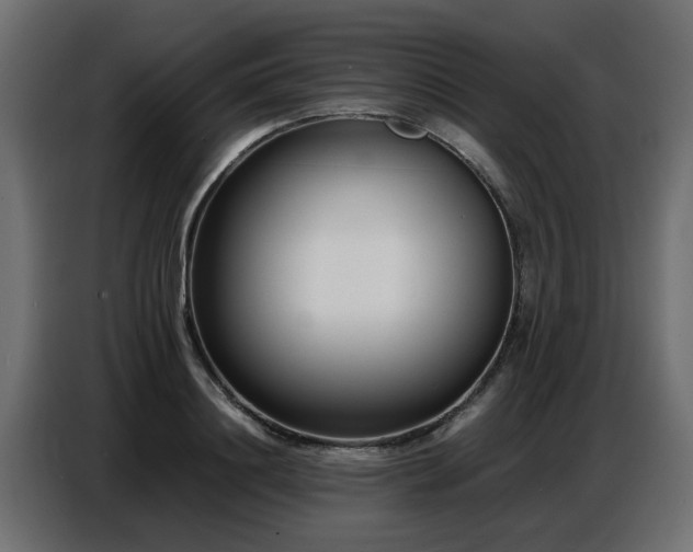 X0000087750844200705071111