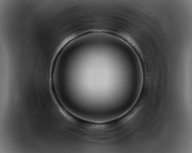 X0000087750845200705071111
