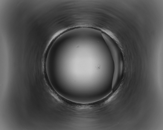 X0000087750846200705071111