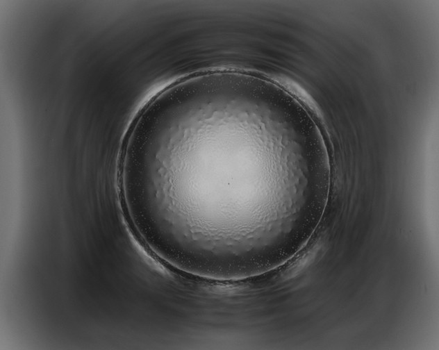 X0000087750847200705071111