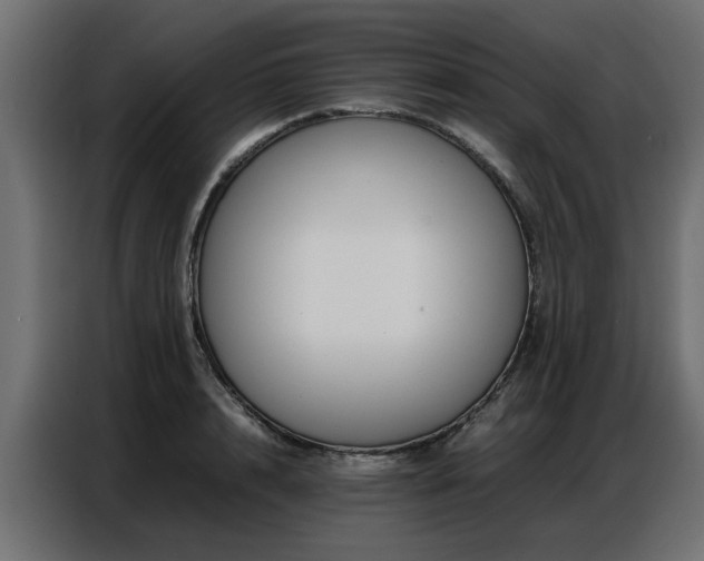 X0000087750848200705071111