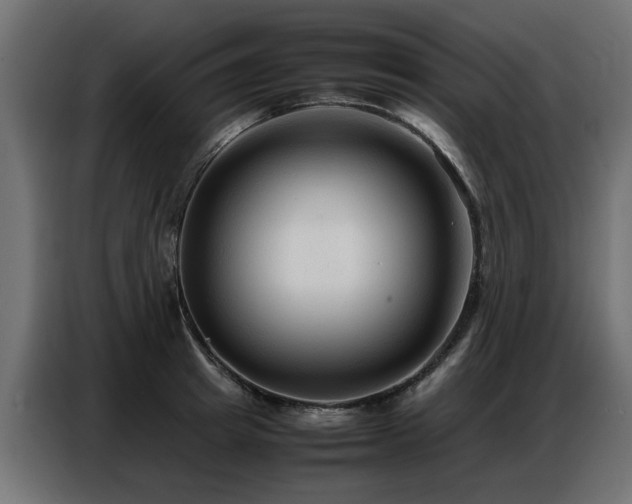 X0000087750849200705071111