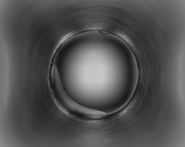 X0000087750850200705071111