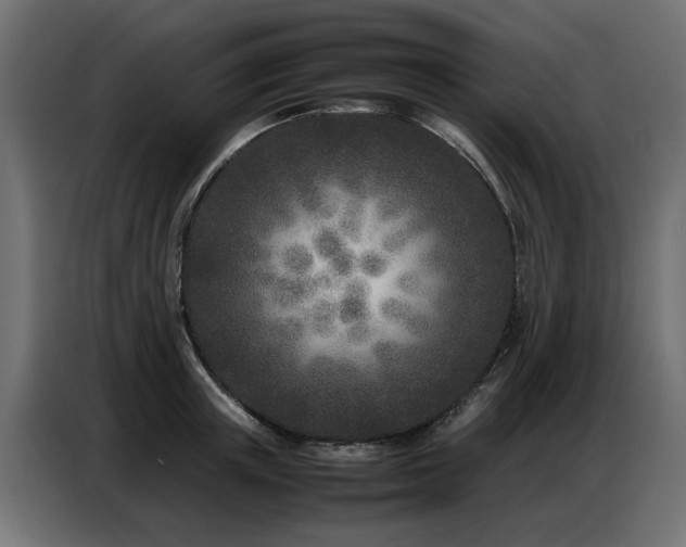 X0000087750851200705071111