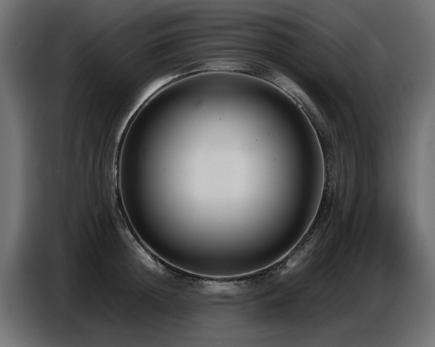 X0000087750852200705071111