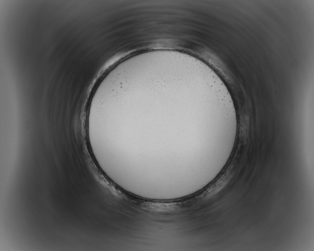 X0000087750856200705071112