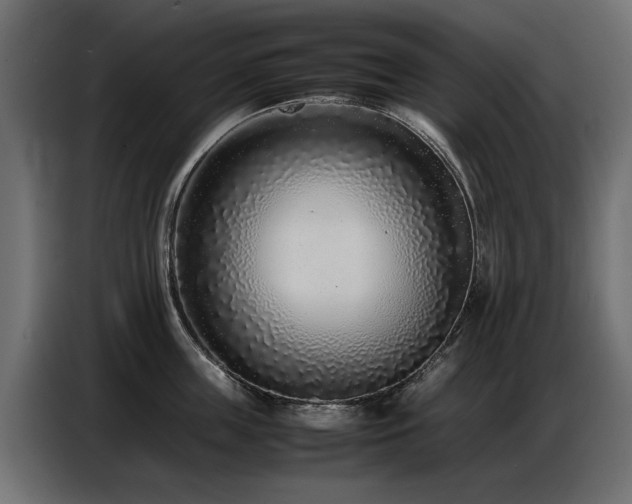X0000087750859200705071112