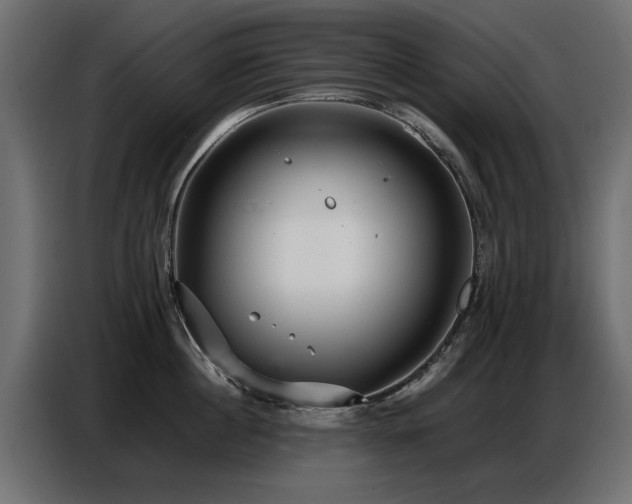 X0000087750860200705071112