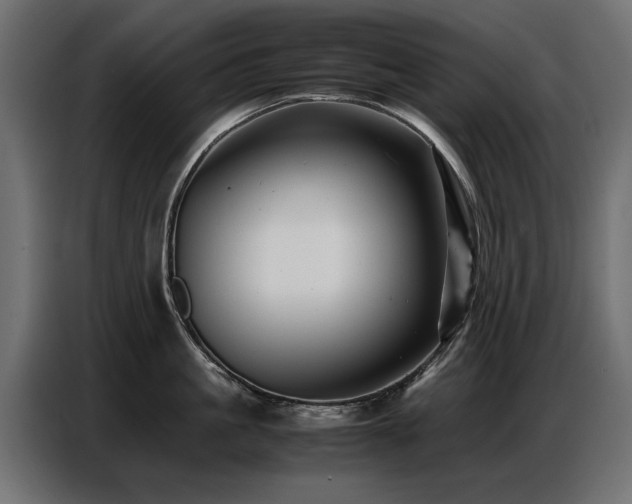X0000087750861200705071112