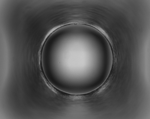 X0000087750862200705071112