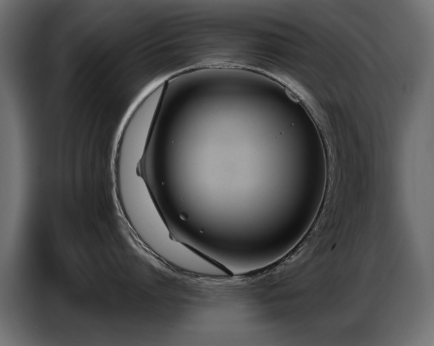 X0000087750864200705071112