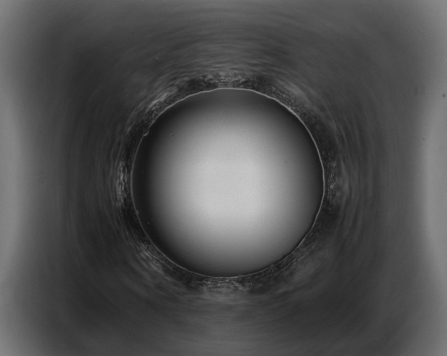 X0000087750866200705071111