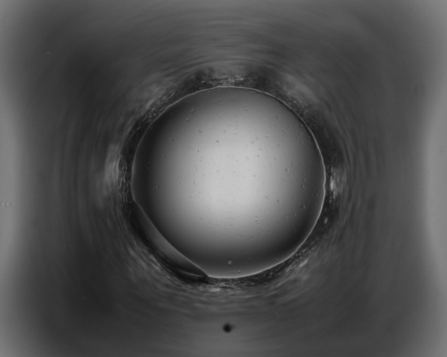 X0000087750867200705071111