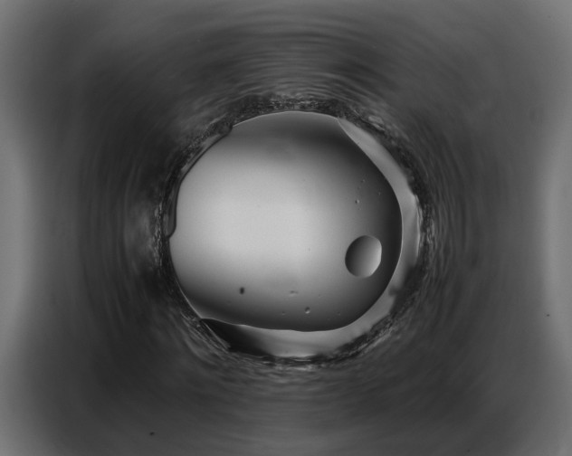 X0000087750868200705071111