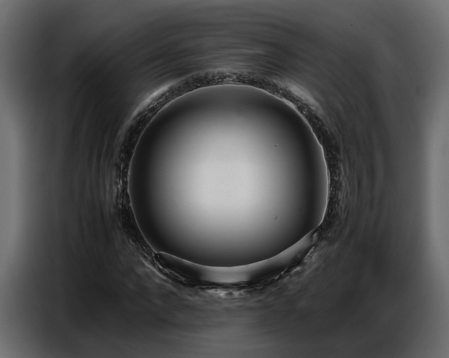 X0000087750872200705071111