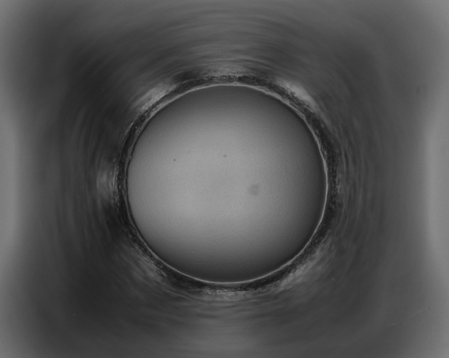 X0000087750873200705071111