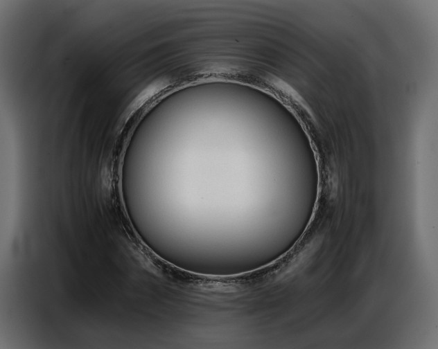 X0000087750874200705071111