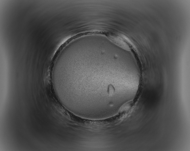 X0000087750875200705071111