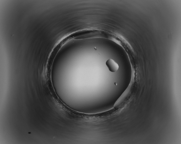 X0000087750876200705071111