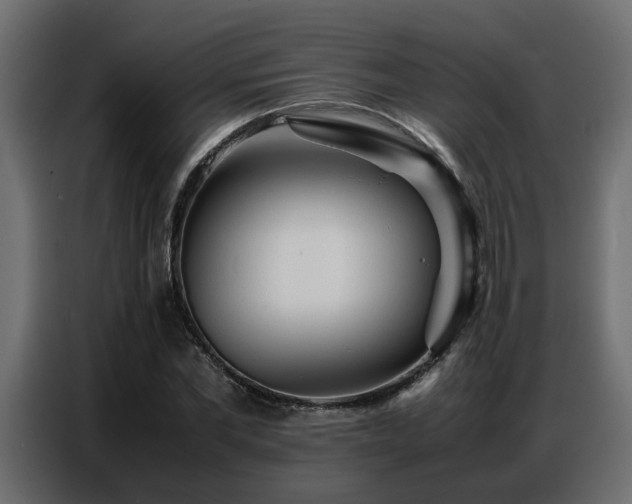 X0000087750877200705071111