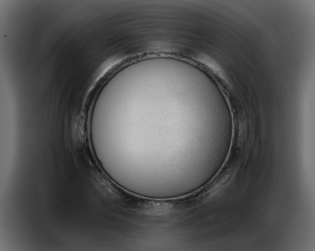 X0000087750878200705071111