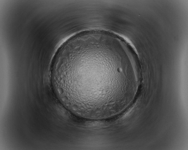 X0000087750879200705071111