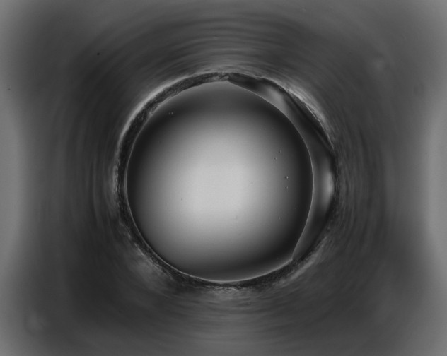 X0000087750880200705071111