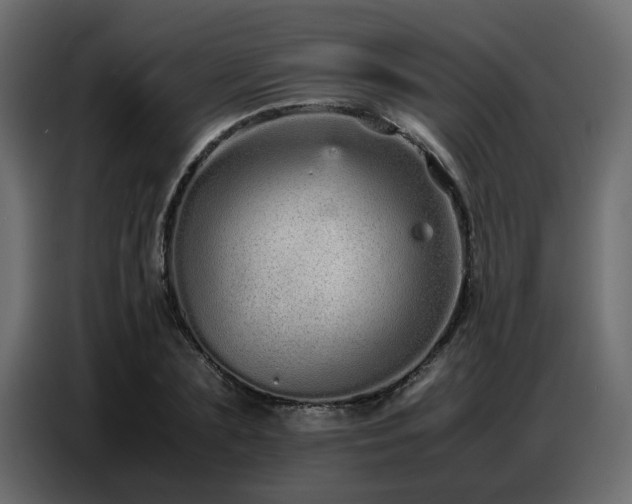 X0000087750883200705071111