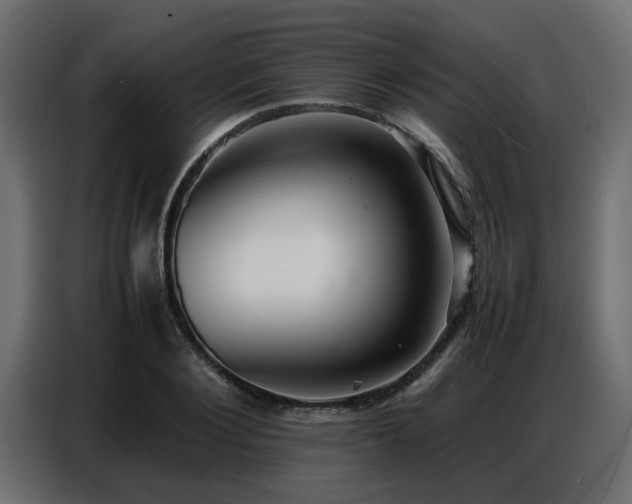 X0000087750884200705071111